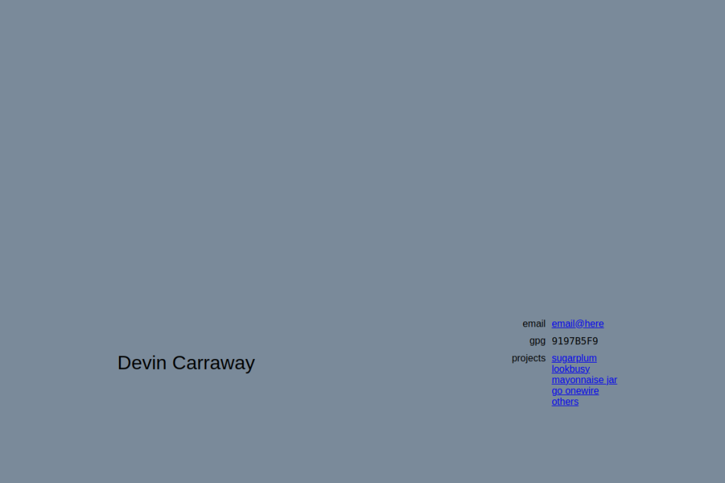 Devin screenshot