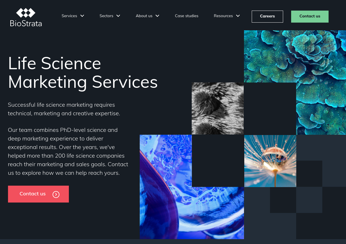 BioStrata screenshot