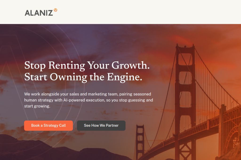 Alaniz Marketing screenshot