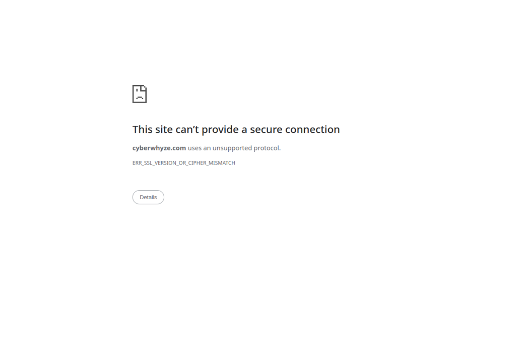 CyberWhyze screenshot